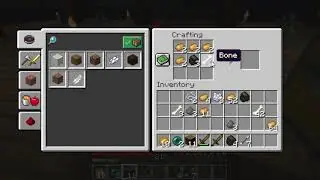 Snapshot 19w06a Bug
