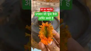 Bhagwan ko phool kaise chadate hai #flowers #shorts