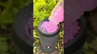 Jbl bass test pink gurwani essential2