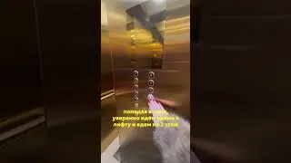 Как пройти в офис Travel House | Минск, ул. Интернациональная, дом 38 (БЦ Capital Palace)