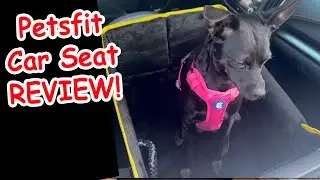 Best Car Seat For Dogs - Petsfit Dog Car Seat REVIEW & DEMO!