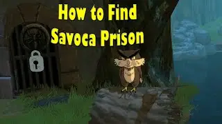 Baldo: The Guardian Owls How to Find Savoca Prison| Tips and Tricks Walkthrough Gameplay