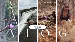 AFRICA TRAVEL VLOG: ZAMBIA, ZIMBABWE, & BOTSWANA |ZIPLINING LION & CHEETAH WALK | DEVILS POOL
