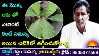 ఎలాంటి కంటిసమస్యలకైనా చక్కటి పరిష్కారం | Addasaram Mokka | Home Remedies For Eye Infections