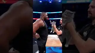 Мужчина пытался издеваться над крошечным котенком... и вот что произошло! #кошки #кольцо #видеона...