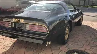 1977 Trans Am SE Blocker #1482