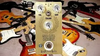 Anarchy Audio GOLD CLASS Germanium Overdrive Different Guitars and Pickups comparison