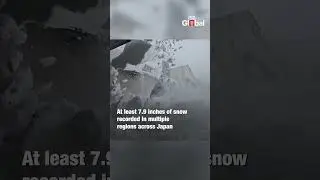 Japan Weather Update: Heavy Snowfall Grips Japan | Stunning Footage of Winter Chaos