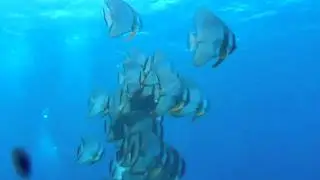 PC310123.AVI