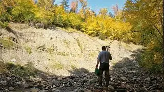 Vermont's Hidden Treasures: Exploring A Mountain Brook for Gold