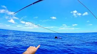 We found this FLOATING DRUM 65kms offshore in 700m of water! Fish Everywhere!