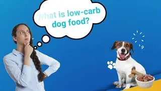 What Is Low-Carb Dog Food, and is It Healthy for My Dog?