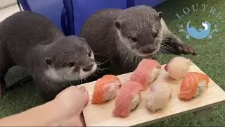 Выдра с половиной дня рождения!