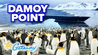 Stopping by Damoy Point before an iceberg tour | Getaway