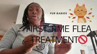 👉 &ldquo;Treating My Cats with Oral Flea Medicine for the FIRST Time! 🐾 | Cat Flea Treatment Explained&rdquo;