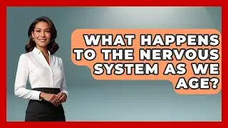 What Happens to the Nervous System as We Age? | All About Anatomy Answers News