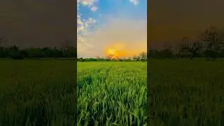 Ishaq Morani #shorts # shortvideo