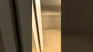 #lotsoffood