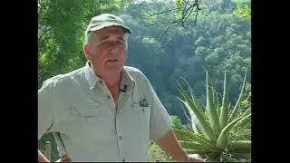 1 Alien invasive plants in South Africa