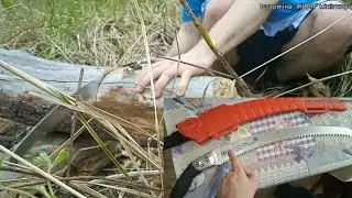 Цена, обзор и МНОГО ПИЛЕНИЯ ДЕРЕВА японской ножовкой 🪚 (пилы) ARS CT TURBOCUT 42 PRO. SAW TEST.