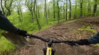 Wurzeltrail 2.0 (sighting round)