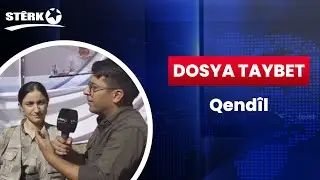 Dosya Taybet - Qendîl
