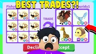 Trading 9 GOLDEN LADYBUGS in A RICH ADOPT ME SERVER! (BEST TRADES)