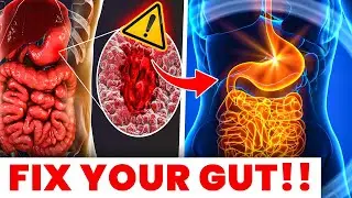 10 Warning Signs Your Gut Is Damaged & How to Fix It Naturally (Backed by Science)