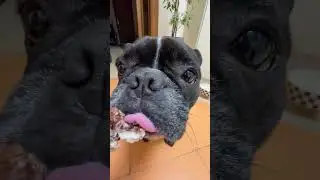 Вечерний хрум😋🍗