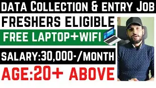 Data Collection & Entry Job | Data Analyst Hybrid Work From Home Jobs For Freshers 2025