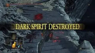 Dark Souls III - FUGS vs NPC Invader