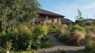Sunset garden