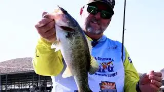 Wall Fishing Secrets with AFG Scooter Griffith