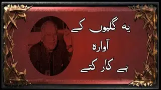 Kuty | Faiz Ahmad Faiz | inqlabi nazam | faiz poetry | lets fruit chat