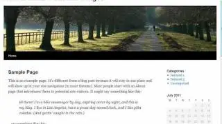 How to Create a Custom WordPress Widget using only recycled code from your existing theme