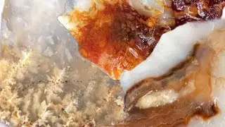 Rockhounding Plume Agates!!! Finding Natures Candy Everywhere.