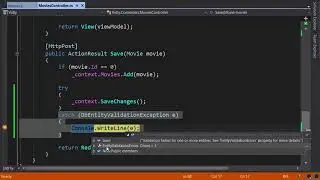 047 Troubleshooting Entity Validation Errors
