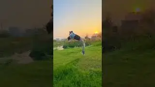 Round Eagle#video #youtube #flipper #youtvplayer