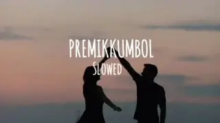 PREMIKUMBOL | SALT AND PEPPER | LOFITRACK