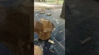 Chair  made from the trunk of the tree