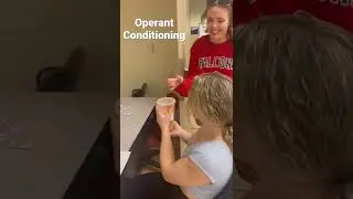 Operant Conditioning