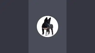 Viral Bagira  is live!