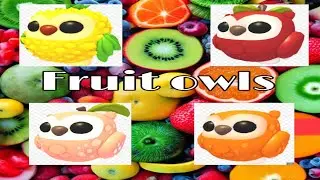 Adopt me fruit owls!
