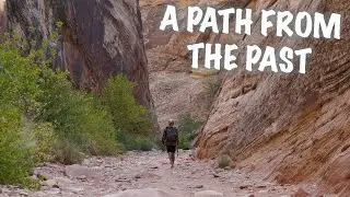 A Path From The Past | Hike Through Capitol Gorge in Capitol Reef National Park