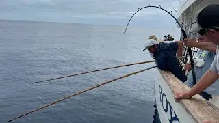 Wide open 200 lb cow bluefin tuna on the Royal Star San Diego