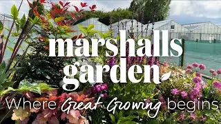 Great Growing Starts with Marshalls Garden | Quality Plants, Seeds & Tools