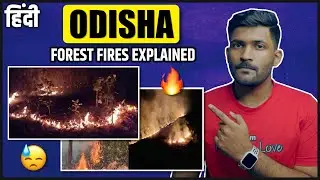 Similipal Fire explained - reasons and solutions | Why is Odisha burning? | Abhi and Niyu