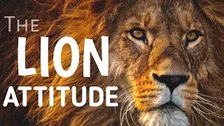 the lion attitude | the lion mentality motivational video | the power of lion attitude