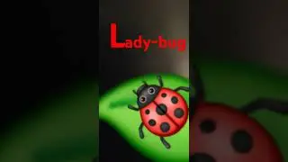 L is for ladybug 🐞