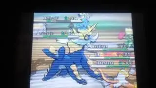 Pok&eacute;monkampf schwarz und weiss